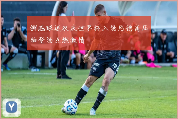 挪威球迷欢庆世界杯入场厄德高压轴登场点燃激情