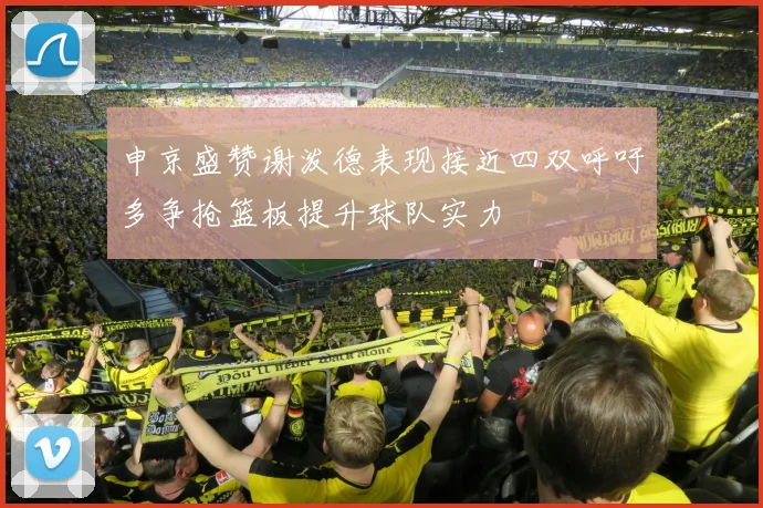 申京盛赞谢泼德表现接近四双呼吁多争抢篮板提升球队实力