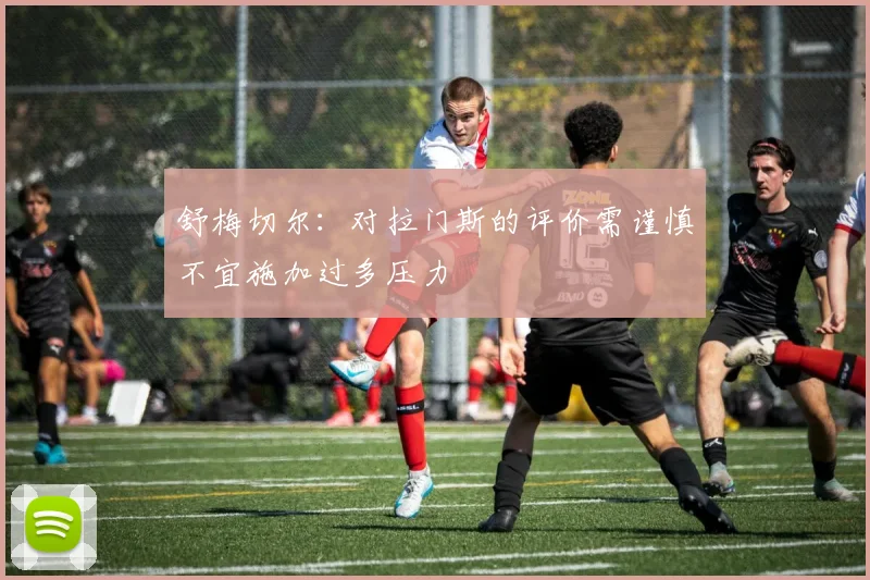 舒梅切尔：对拉门斯的评价需谨慎不宜施加过多压力