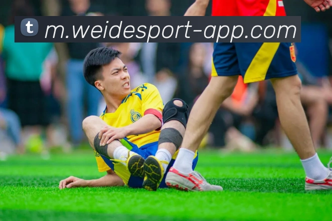 伟德体育APP 高清赛事图